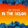 Dan Speicher - In the Brush - Single